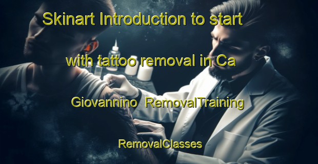 Skinart Introduction to start with tattoo removal in Ca  Giovannino | RemovalTraining | RemovalClasses | SkinartTraining-Italy