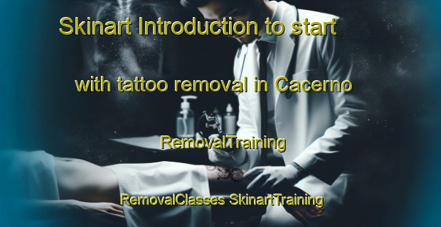 Skinart Introduction to start with tattoo removal in Cacerno | #RemovalTraining #RemovalClasses #SkinartTraining-Italy