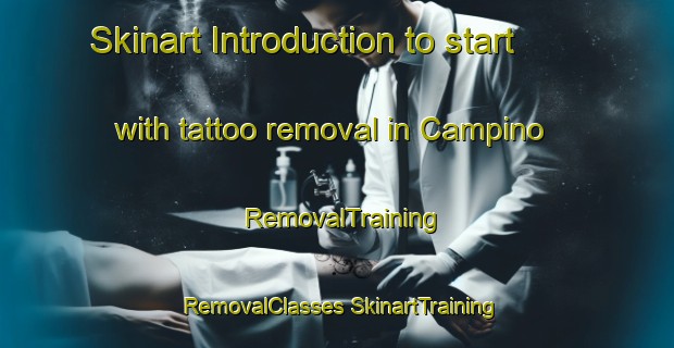 Skinart Introduction to start with tattoo removal in Campino | #RemovalTraining #RemovalClasses #SkinartTraining-Italy