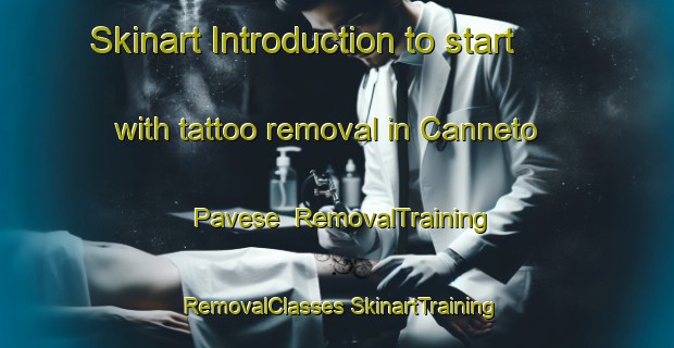 Skinart Introduction to start with tattoo removal in Canneto Pavese | #RemovalTraining #RemovalClasses #SkinartTraining-Italy