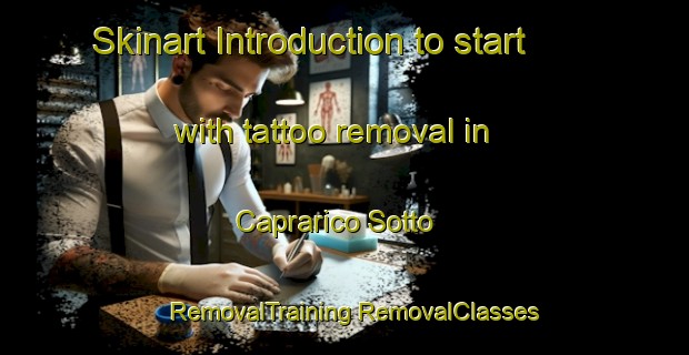 Skinart Introduction to start with tattoo removal in Caprarico Sotto | #RemovalTraining #RemovalClasses #SkinartTraining-Italy