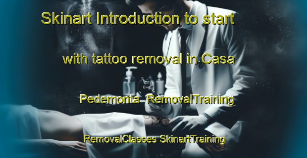 Skinart Introduction to start with tattoo removal in Casa Pedemonta | #RemovalTraining #RemovalClasses #SkinartTraining-Italy