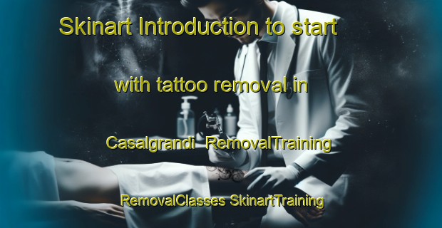 Skinart Introduction to start with tattoo removal in Casalgrandi | #RemovalTraining #RemovalClasses #SkinartTraining-Italy