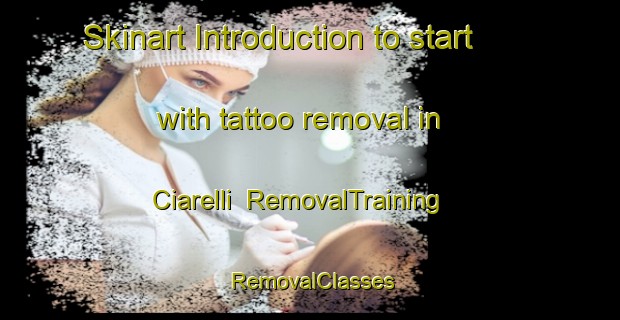 Skinart Introduction to start with tattoo removal in Ciarelli | RemovalTraining | RemovalClasses | SkinartTraining-Italy