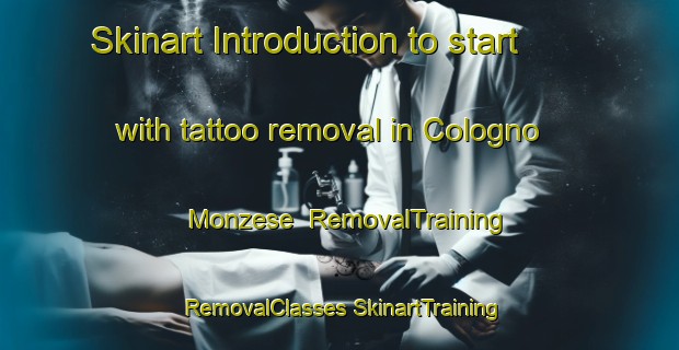 Skinart Introduction to start with tattoo removal in Cologno Monzese | #RemovalTraining #RemovalClasses #SkinartTraining-Italy