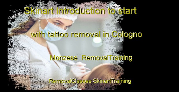 Skinart Introduction to start with tattoo removal in Cologno Monzese | #RemovalTraining #RemovalClasses #SkinartTraining-Italy