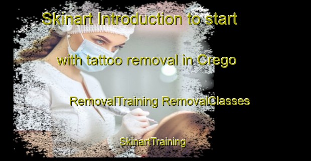 Skinart Introduction to start with tattoo removal in Crego | #RemovalTraining #RemovalClasses #SkinartTraining-Italy