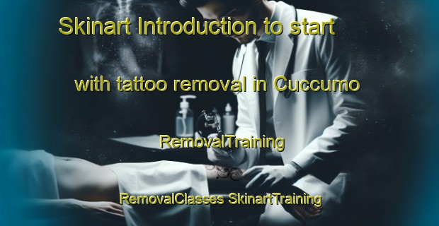 Skinart Introduction to start with tattoo removal in Cuccumo | #RemovalTraining #RemovalClasses #SkinartTraining-Italy