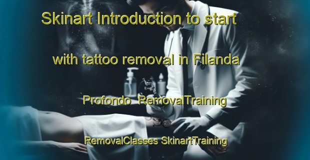 Skinart Introduction to start with tattoo removal in Filanda Profondo | #RemovalTraining #RemovalClasses #SkinartTraining-Italy