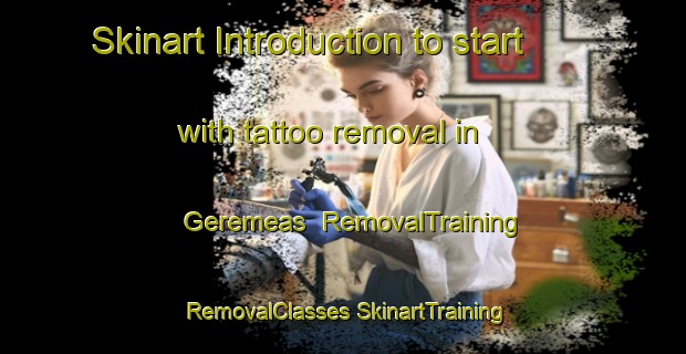 Skinart Introduction to start with tattoo removal in Geremeas | #RemovalTraining #RemovalClasses #SkinartTraining-Italy