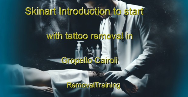 Skinart Introduction to start with tattoo removal in Gropello Cairoli | RemovalTraining | RemovalClasses | SkinartTraining-Italy