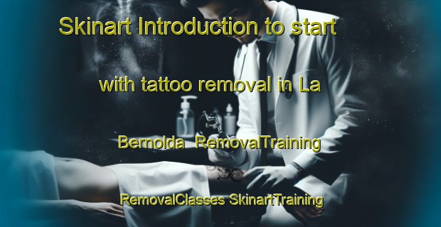 Skinart Introduction to start with tattoo removal in La Bernolda | #RemovalTraining #RemovalClasses #SkinartTraining-Italy