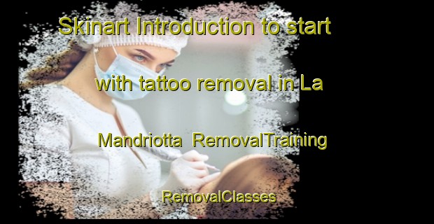 Skinart Introduction to start with tattoo removal in La Mandriotta | RemovalTraining | RemovalClasses | SkinartTraining-Italy