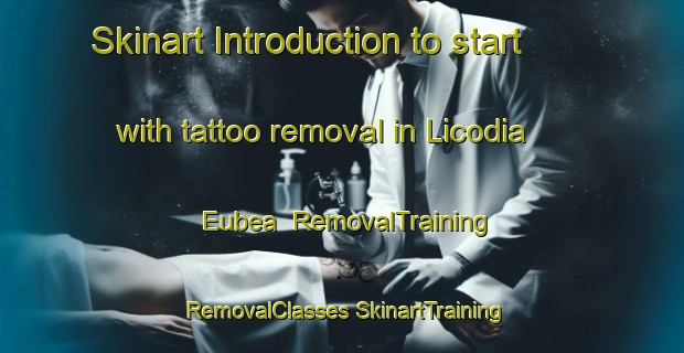 Skinart Introduction to start with tattoo removal in Licodia Eubea | #RemovalTraining #RemovalClasses #SkinartTraining-Italy