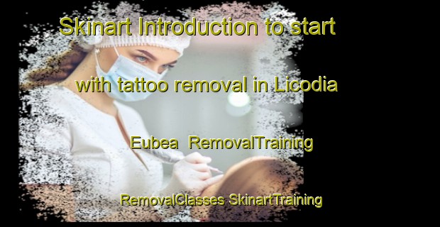 Skinart Introduction to start with tattoo removal in Licodia Eubea | #RemovalTraining #RemovalClasses #SkinartTraining-Italy