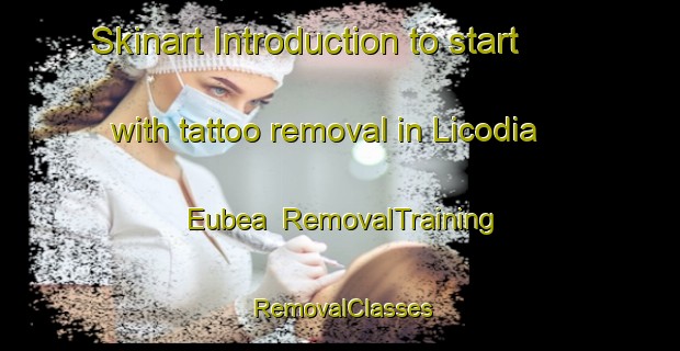 Skinart Introduction to start with tattoo removal in Licodia Eubea | RemovalTraining | RemovalClasses | SkinartTraining-Italy