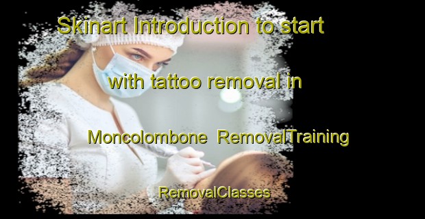 Skinart Introduction to start with tattoo removal in Moncolombone | RemovalTraining | RemovalClasses | SkinartTraining-Italy