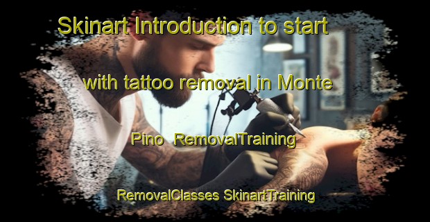 Skinart Introduction to start with tattoo removal in Monte Pino | #RemovalTraining #RemovalClasses #SkinartTraining-Italy