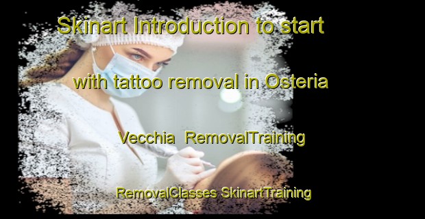 Skinart Introduction to start with tattoo removal in Osteria Vecchia | #RemovalTraining #RemovalClasses #SkinartTraining-Italy