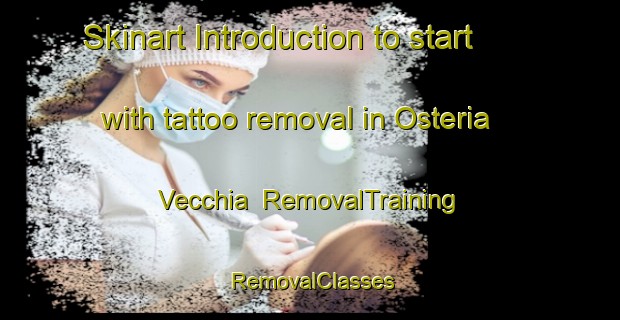 Skinart Introduction to start with tattoo removal in Osteria Vecchia | RemovalTraining | RemovalClasses | SkinartTraining-Italy