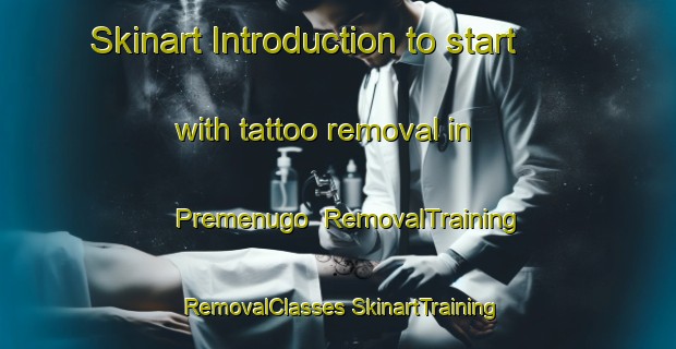 Skinart Introduction to start with tattoo removal in Premenugo | #RemovalTraining #RemovalClasses #SkinartTraining-Italy