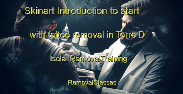 Skinart Introduction to start with tattoo removal in Torre D Isola | RemovalTraining | RemovalClasses | SkinartTraining-Italy