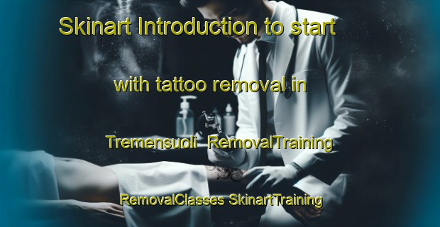 Skinart Introduction to start with tattoo removal in Tremensuoli | #RemovalTraining #RemovalClasses #SkinartTraining-Italy