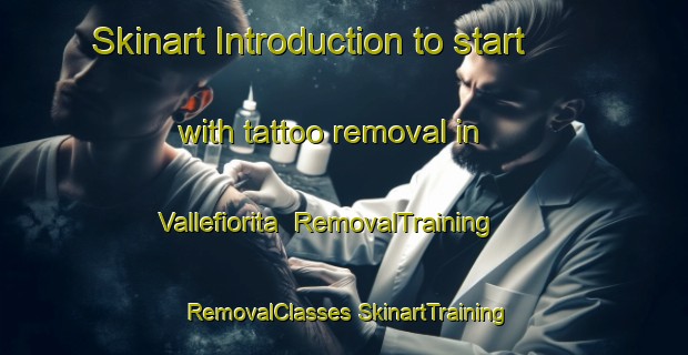 Skinart Introduction to start with tattoo removal in Vallefiorita | #RemovalTraining #RemovalClasses #SkinartTraining-Italy