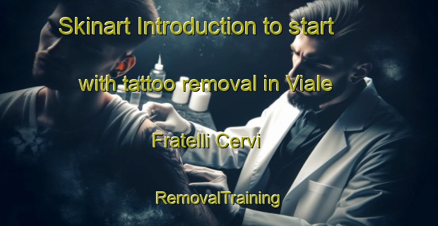 Skinart Introduction to start with tattoo removal in Viale Fratelli Cervi | RemovalTraining | RemovalClasses | SkinartTraining-Italy
