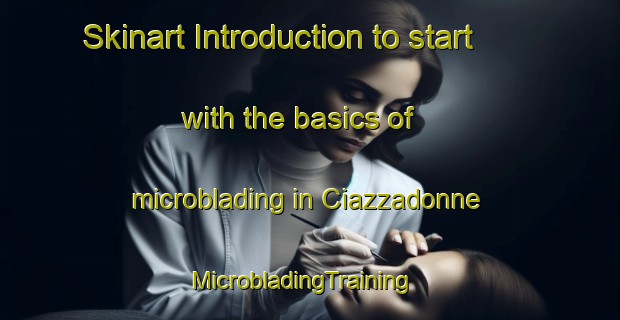 Skinart Introduction to start with the basics of microblading in Ciazzadonne | MicrobladingTraining | MicrobladingClasses | SkinartTraining-Italy