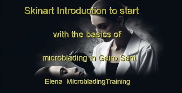 Skinart Introduction to start with the basics of microblading in Gairo Sant Elena | MicrobladingTraining | MicrobladingClasses | SkinartTraining-Italy