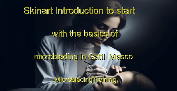 Skinart Introduction to start with the basics of microblading in Gatti  Viasco | MicrobladingTraining | MicrobladingClasses | SkinartTraining-Italy