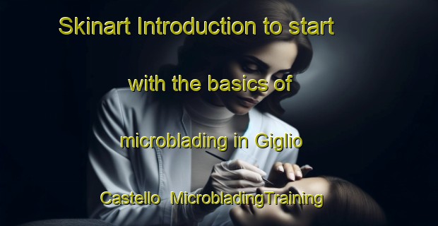 Skinart Introduction to start with the basics of microblading in Giglio Castello | MicrobladingTraining | MicrobladingClasses | SkinartTraining-Italy
