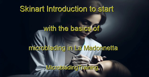 Skinart Introduction to start with the basics of microblading in La Madonnetta | MicrobladingTraining | MicrobladingClasses | SkinartTraining-Italy