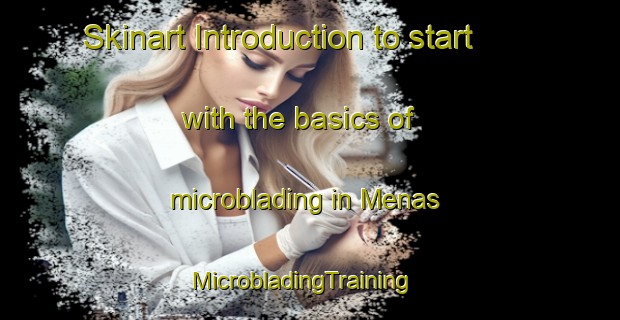 Skinart Introduction to start with the basics of microblading in Menas | MicrobladingTraining | MicrobladingClasses | SkinartTraining-Italy