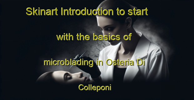 Skinart Introduction to start with the basics of microblading in Osteria Di Colleponi | MicrobladingTraining | MicrobladingClasses | SkinartTraining-Italy
