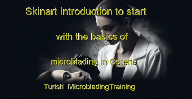 Skinart Introduction to start with the basics of microblading in Osteria Turisti | MicrobladingTraining | MicrobladingClasses | SkinartTraining-Italy
