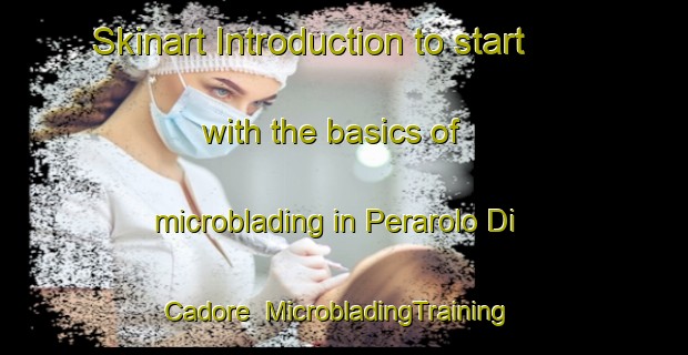 Skinart Introduction to start with the basics of microblading in Perarolo Di Cadore | MicrobladingTraining | MicrobladingClasses | SkinartTraining-Italy