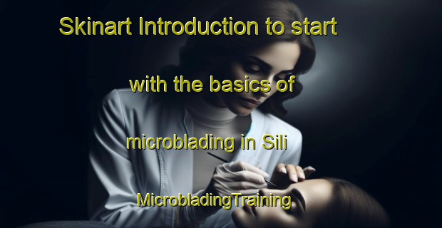 Skinart Introduction to start with the basics of microblading in Sili | MicrobladingTraining | MicrobladingClasses | SkinartTraining-Italy