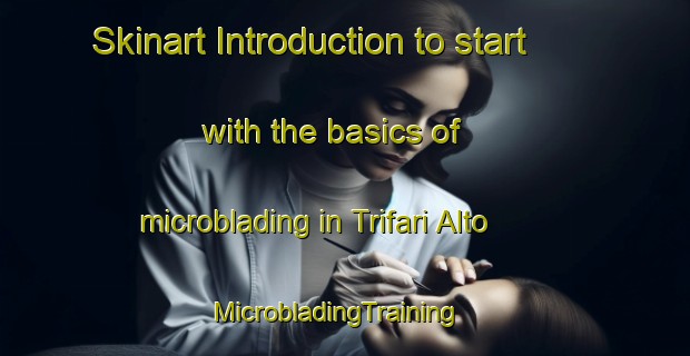 Skinart Introduction to start with the basics of microblading in Trifari Alto | MicrobladingTraining | MicrobladingClasses | SkinartTraining-Italy
