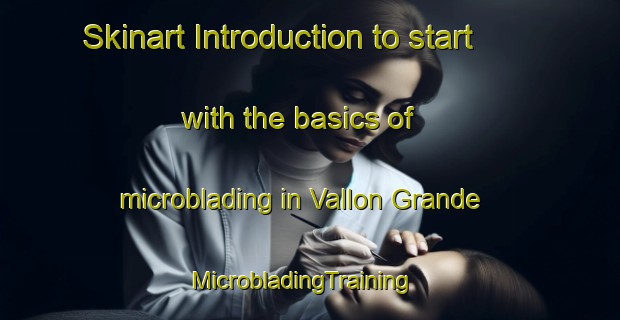 Skinart Introduction to start with the basics of microblading in Vallon Grande | MicrobladingTraining | MicrobladingClasses | SkinartTraining-Italy