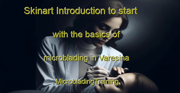 Skinart Introduction to start with the basics of microblading in Varesina | MicrobladingTraining | MicrobladingClasses | SkinartTraining-Italy