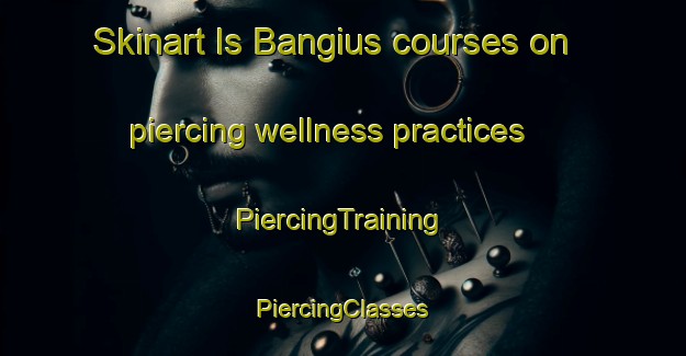 Skinart Is Bangius courses on piercing wellness practices | #PiercingTraining #PiercingClasses #SkinartTraining-Italy