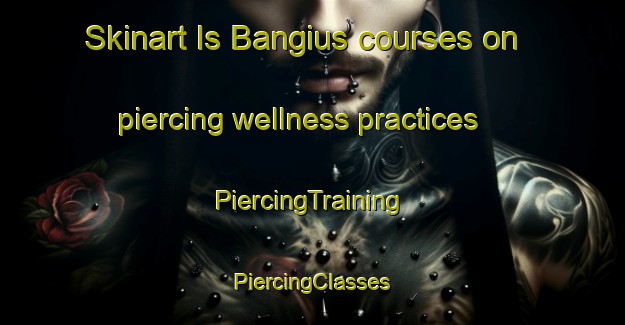 Skinart Is Bangius courses on piercing wellness practices | #PiercingTraining #PiercingClasses #SkinartTraining-Italy