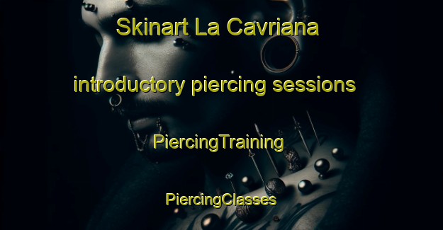 Skinart La Cavriana introductory piercing sessions | #PiercingTraining #PiercingClasses #SkinartTraining-Italy