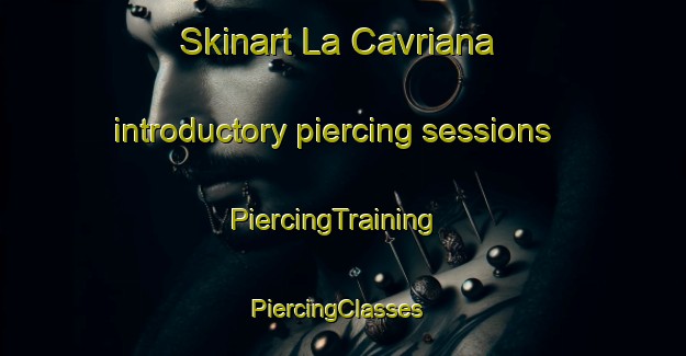 Skinart La Cavriana introductory piercing sessions | PiercingTraining | PiercingClasses | SkinartTraining-Italy