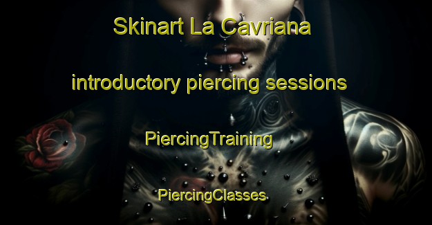 Skinart La Cavriana introductory piercing sessions | PiercingTraining | PiercingClasses | SkinartTraining-Italy