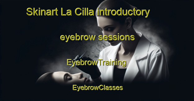 Skinart La Cilla introductory eyebrow sessions | EyebrowTraining | EyebrowClasses | SkinartTraining-Italy