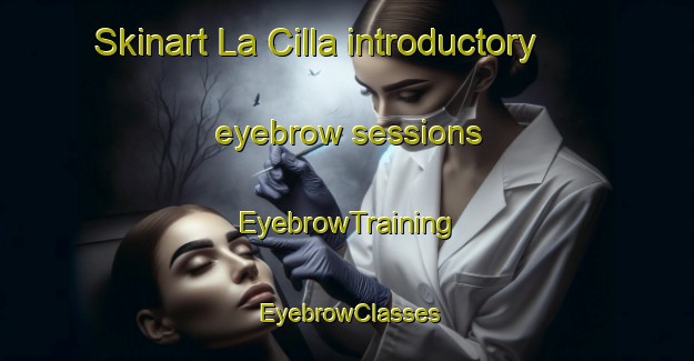 Skinart La Cilla introductory eyebrow sessions | EyebrowTraining | EyebrowClasses | SkinartTraining-Italy