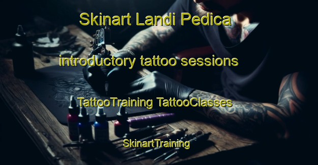 Skinart Landi Pedica introductory tattoo sessions | #TattooTraining #TattooClasses #SkinartTraining-Italy